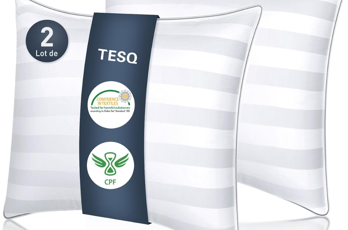 Oreiller de lit TESQ DTZ01 : Test, avis et promo